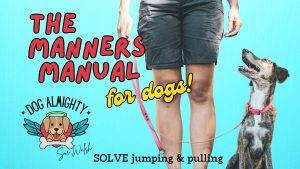 The Manners Manual for dogs