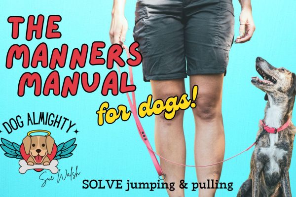 The Manners Manual for dogs