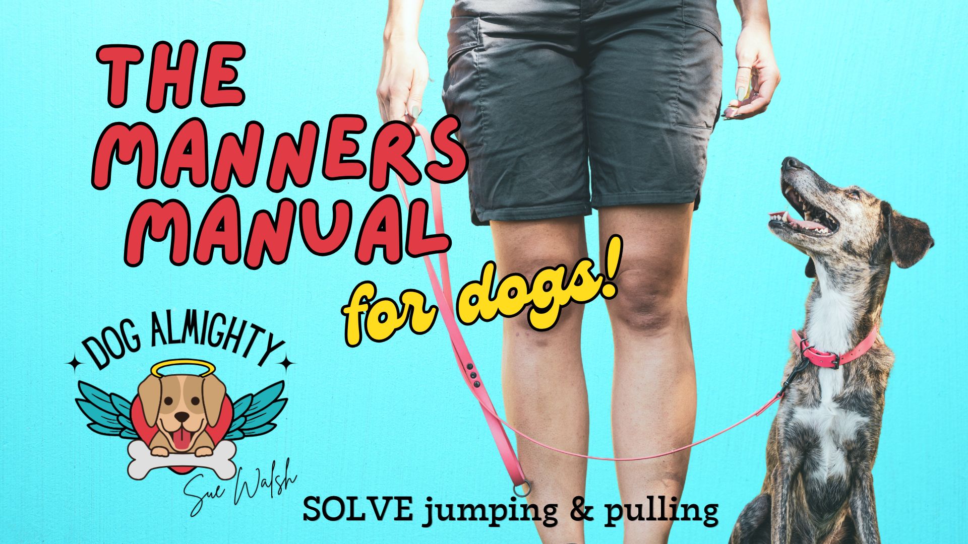 The Manners Manual