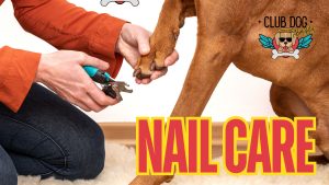 Nail Care Blog