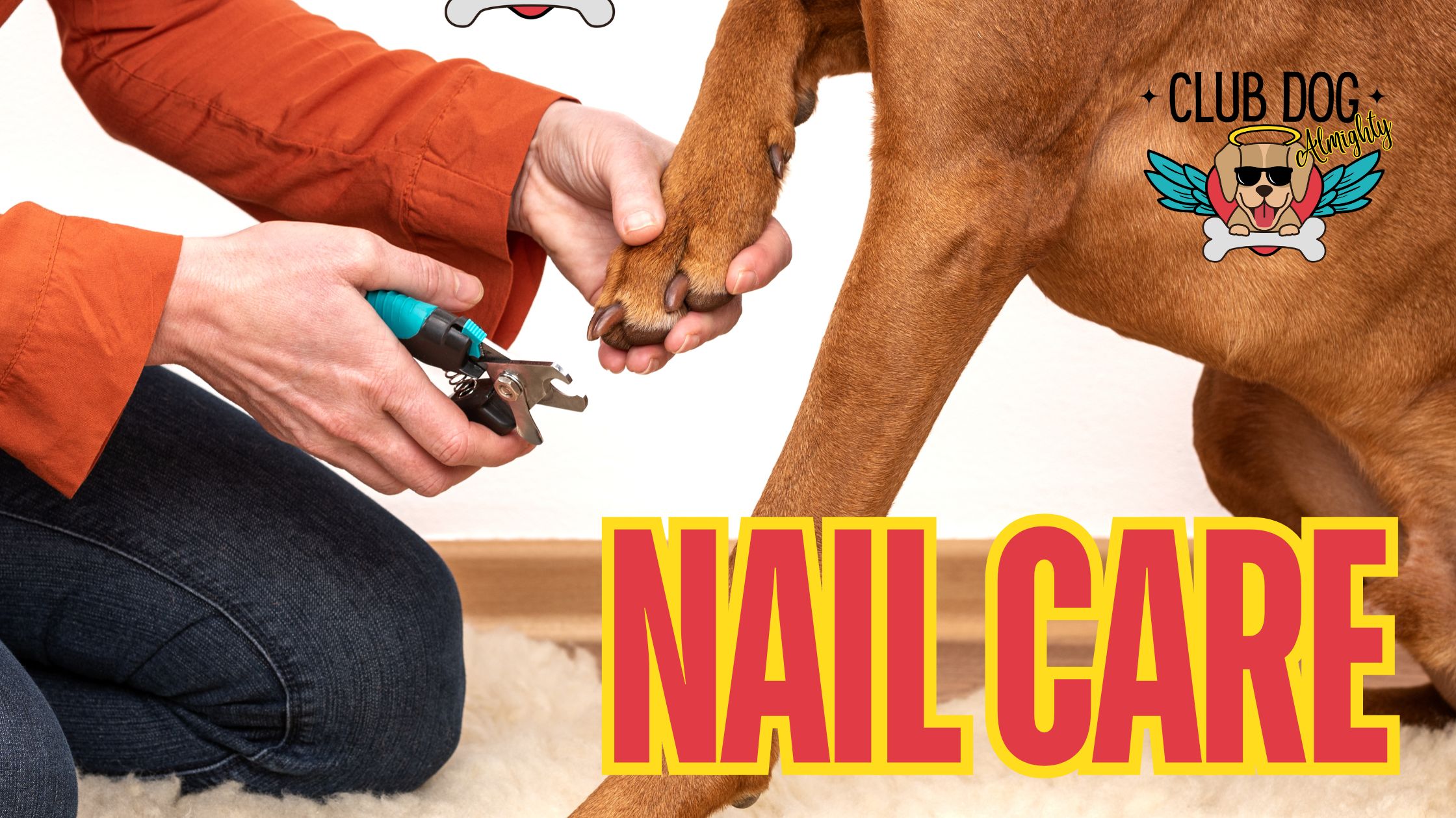 Nail Care Blog