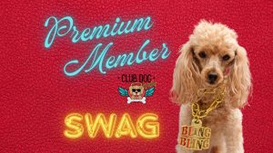 Premium Member Swag