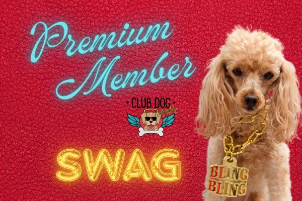 Premium Member Swag