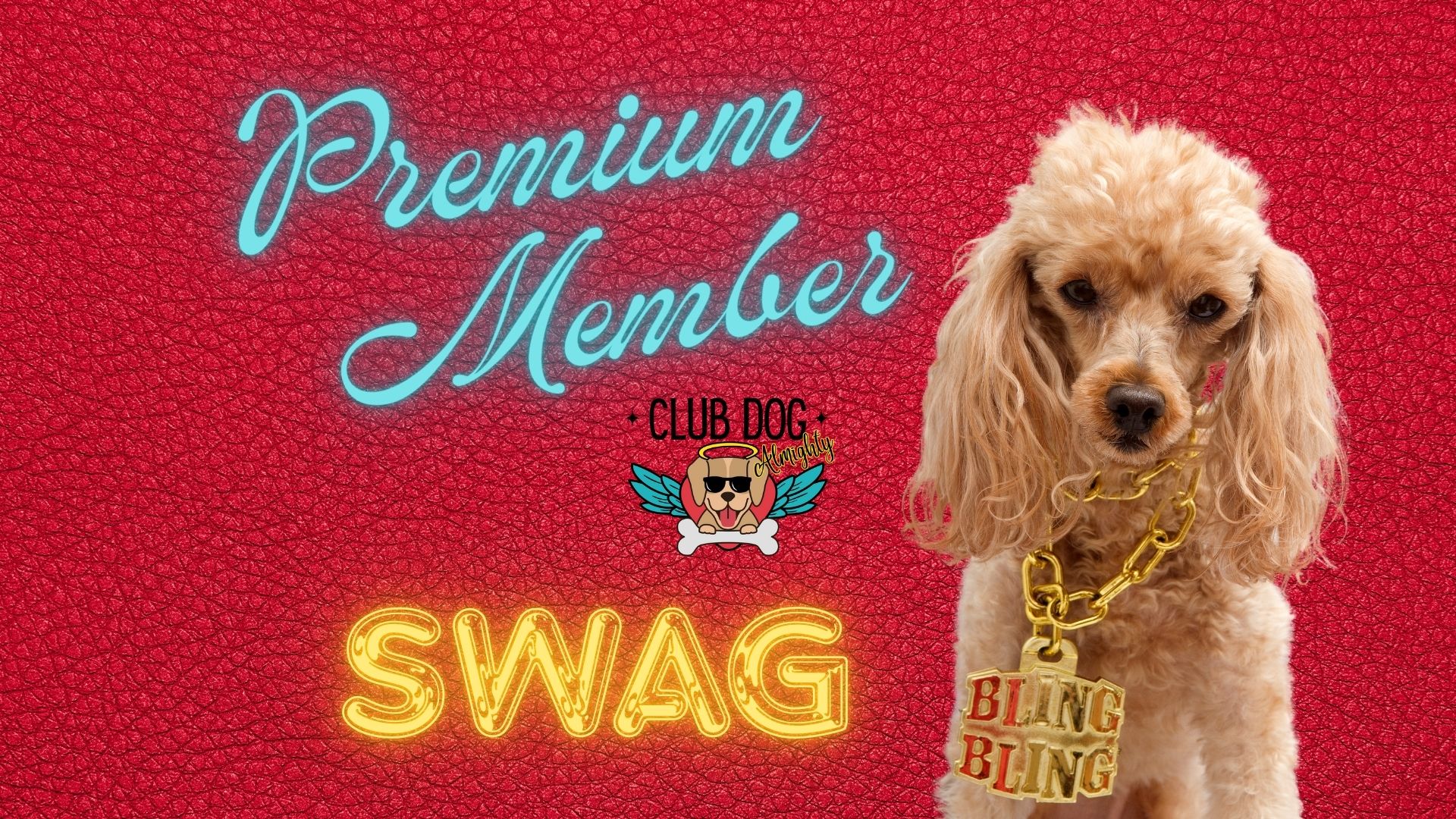 Premium Member Swag