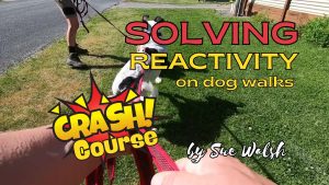Reactivity Crash Course
