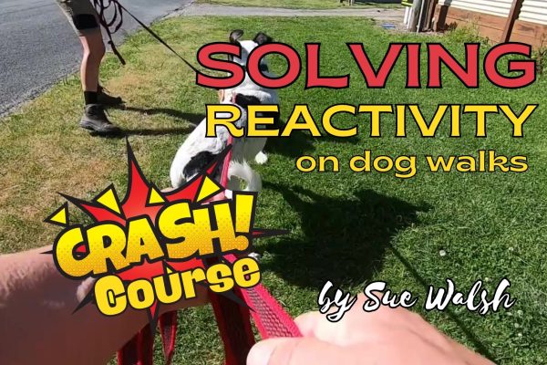 Reactivity Crash Course