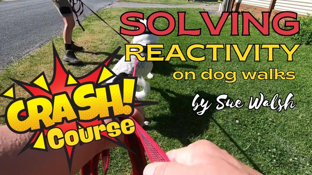 Solving reactivity crash course J