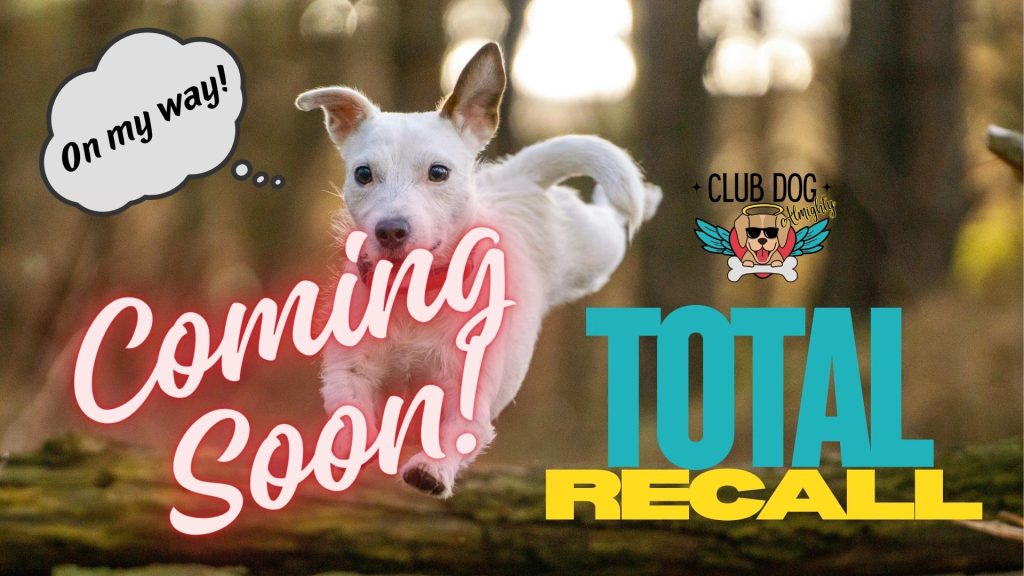 Total Recall