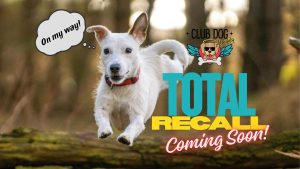 Total Recall Club Course