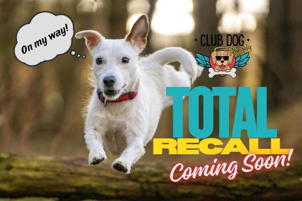 Total Recall Club Course