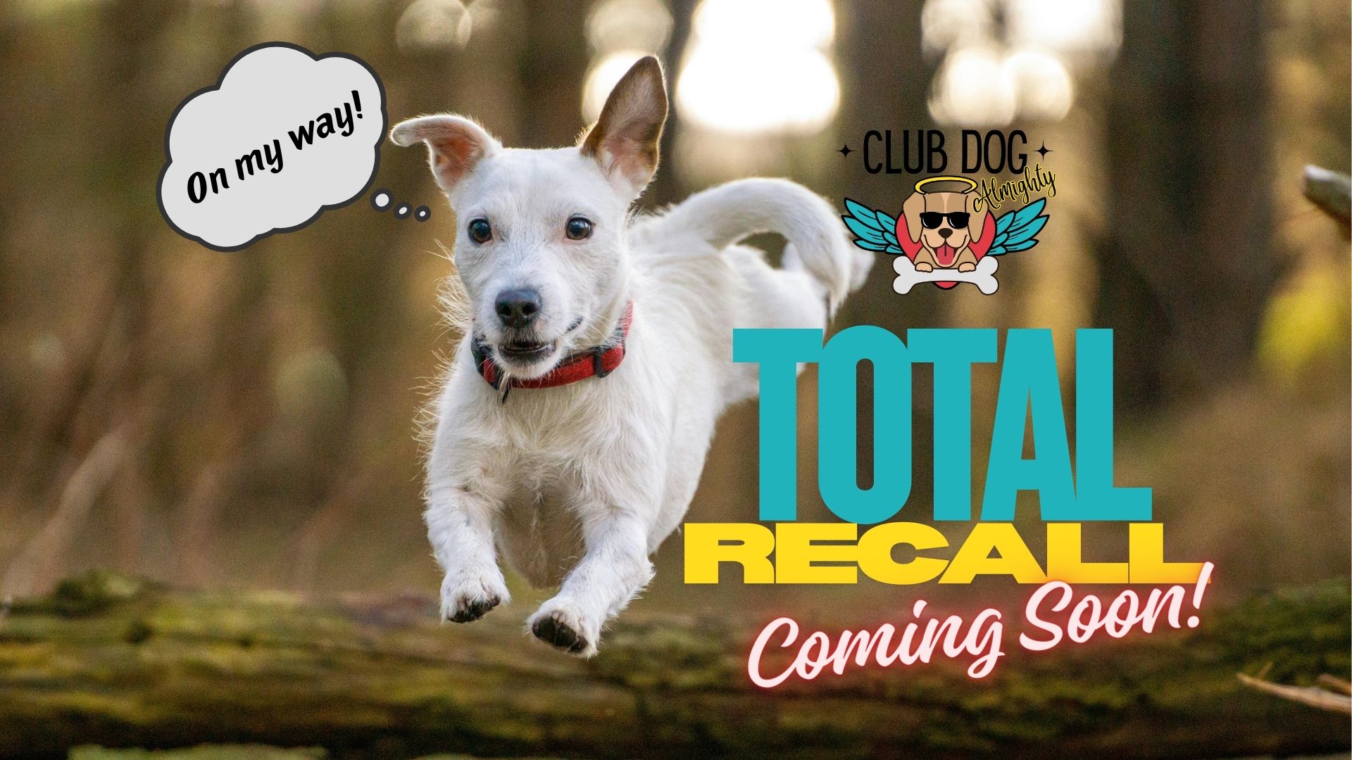 Total Recall – COMING SOON!