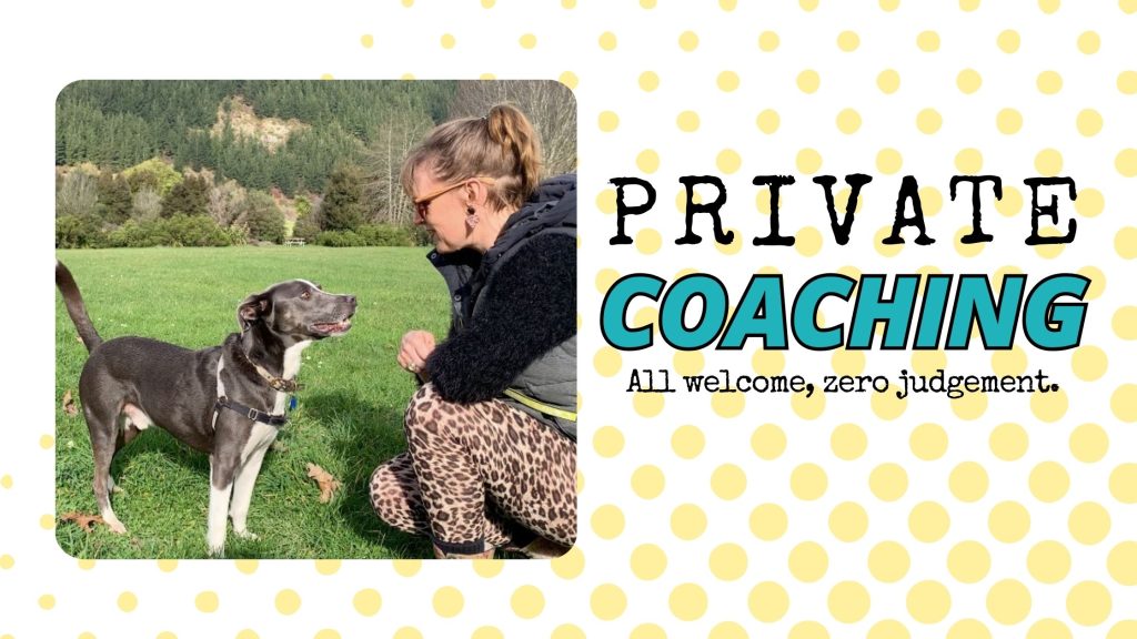 Private dog coaching NZ