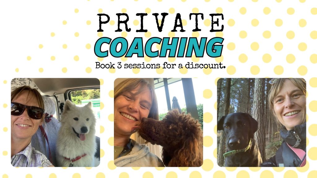 Private dog coaching NZ
