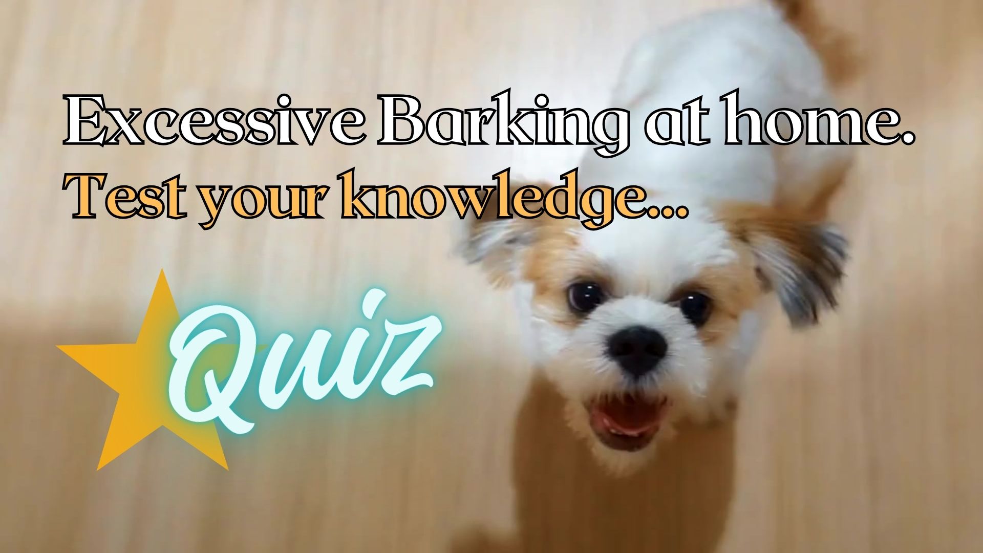 Barking Quiz 1